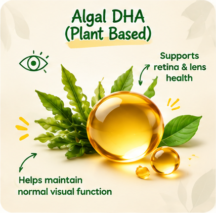 Algal DHA