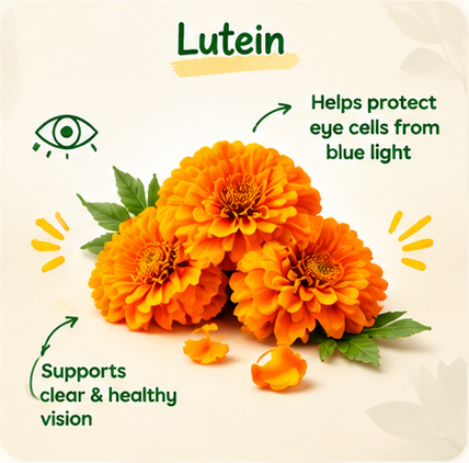 Lutein